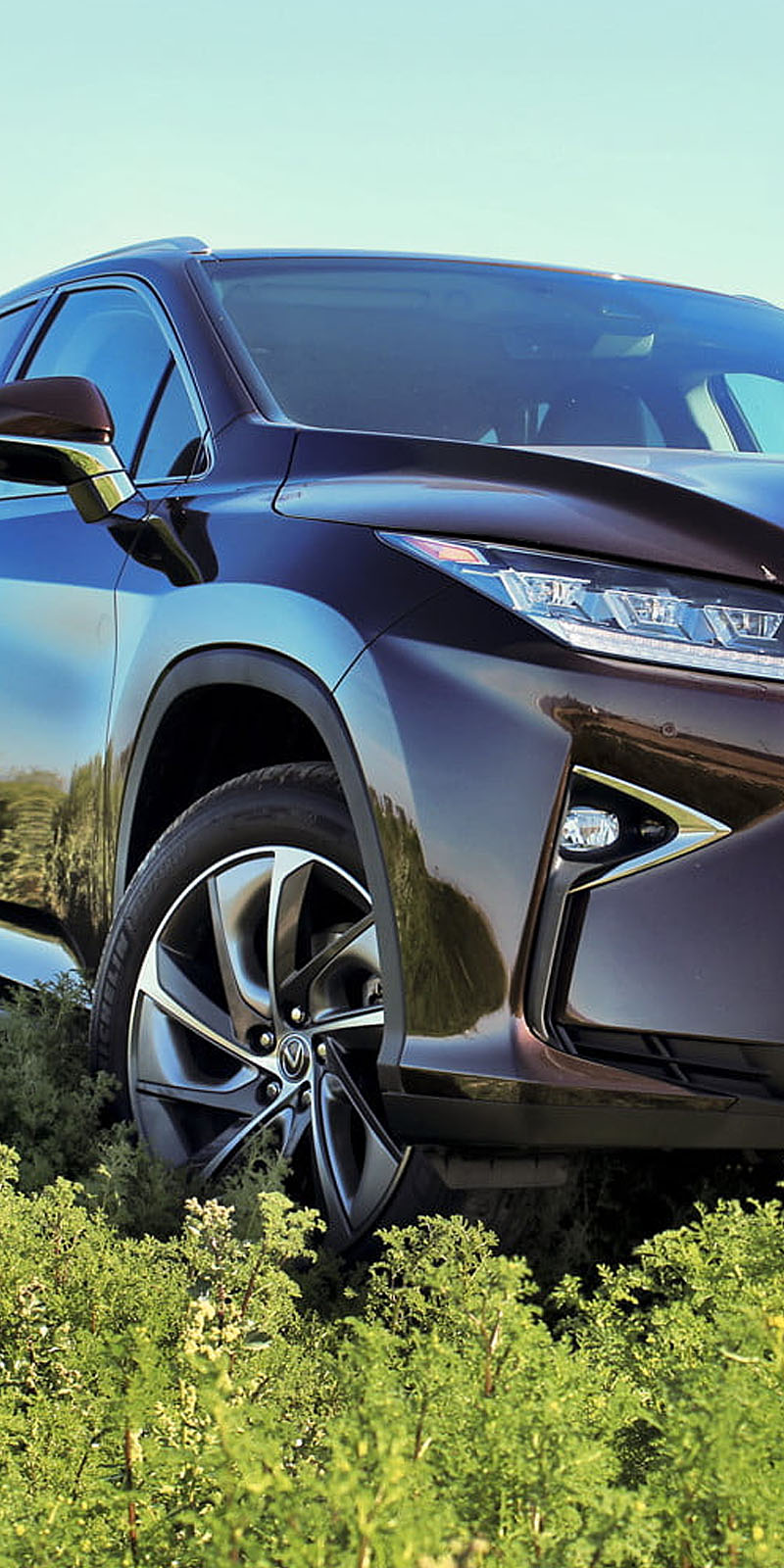 Seguros del automotor