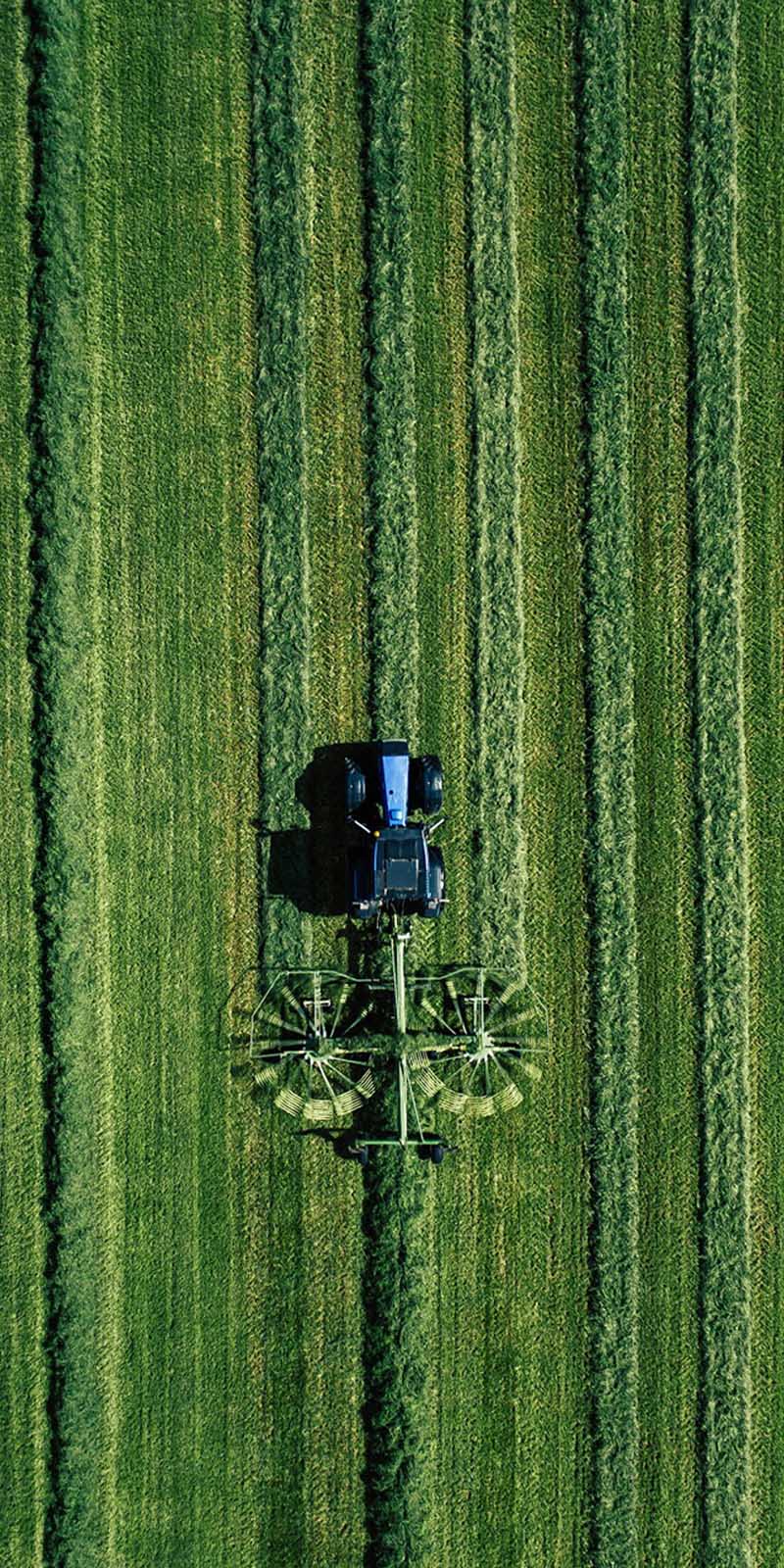 Riesgos agropecuarios